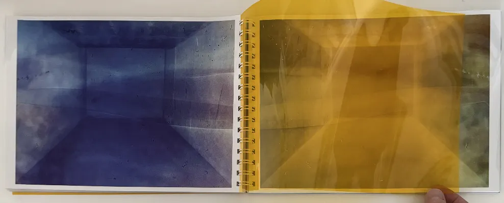 Daisuke Yokota: 